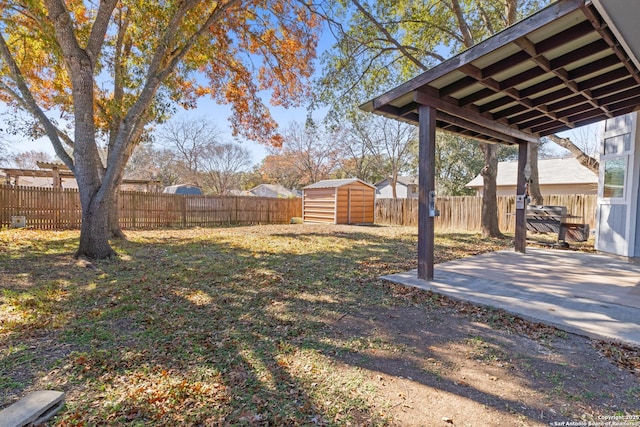 view of yard featuring a patio area and a storage unit