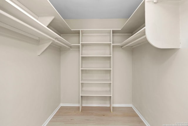 spacious closet with light hardwood / wood-style floors