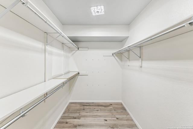 spacious closet featuring light hardwood / wood-style floors