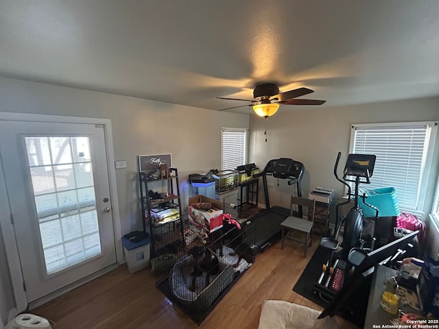 exercise area featuring hardwood / wood-style flooring and ceiling fan