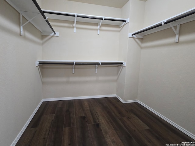 spacious closet with dark hardwood / wood-style floors