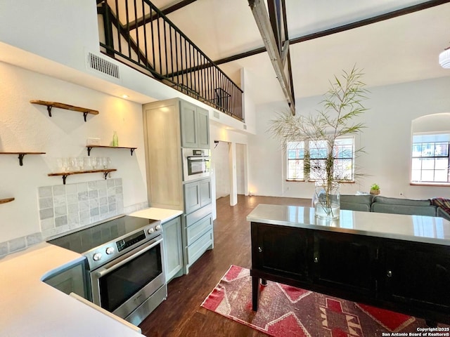 kitchen with dark hardwood / wood-style flooring, a towering ceiling, plenty of natural light, and stainless steel appliances