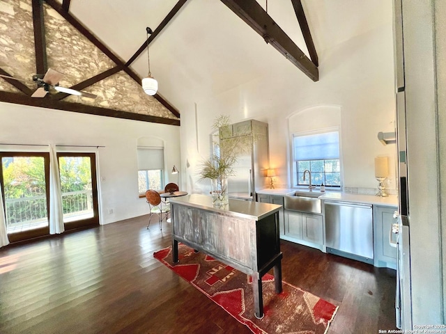 kitchen featuring a healthy amount of sunlight, dark wood-type flooring, stainless steel dishwasher, and high vaulted ceiling