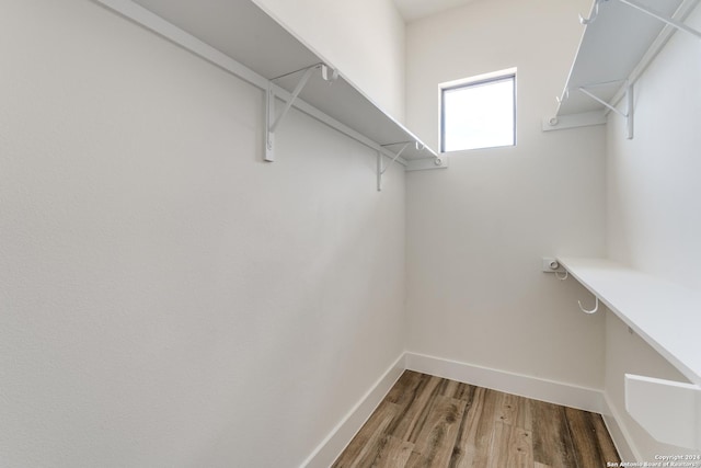 spacious closet with hardwood / wood-style flooring