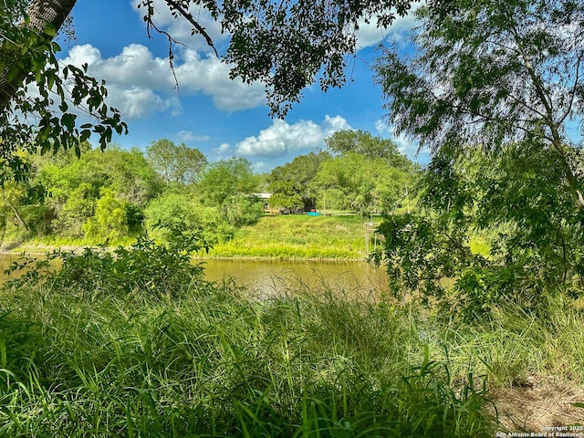 view of nature with a water view