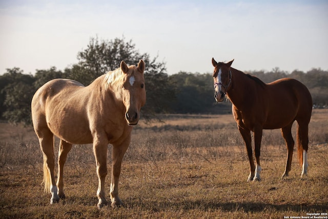 Listing photo 3 for 1480 Patton Rd, Somerset TX 78069