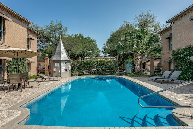 view of pool featuring a patio