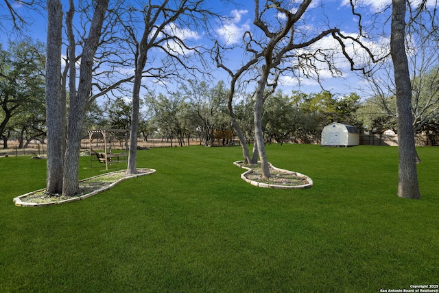 view of yard with a storage unit