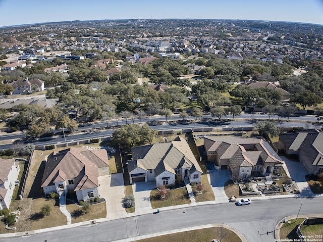 bird's eye view