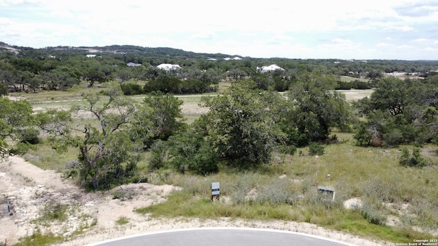 771 Early Ridge Rd, Bulverde, TX 78163 - view of property location