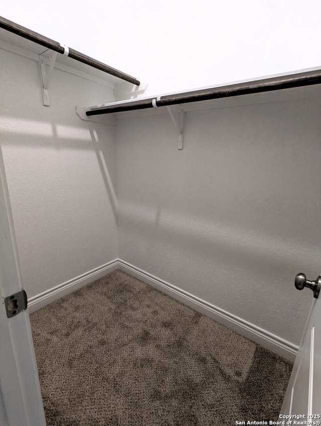 walk in closet with carpet flooring