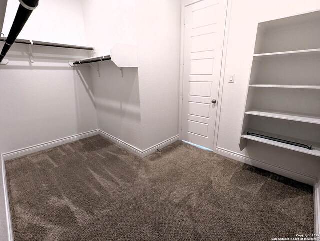 spacious closet featuring carpet