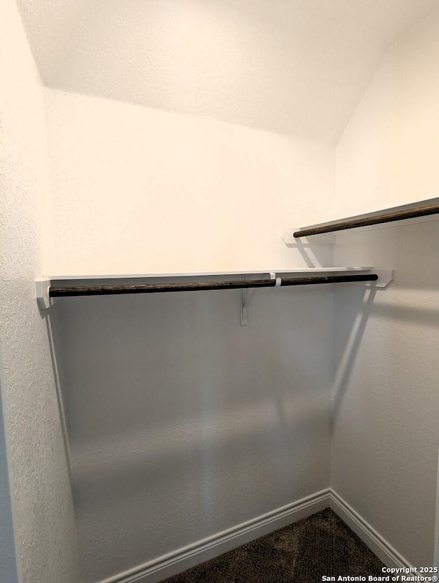 spacious closet featuring lofted ceiling and carpet flooring