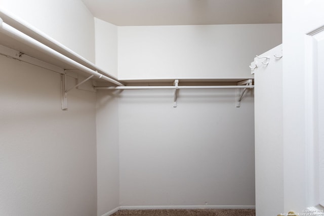 spacious closet with carpet flooring