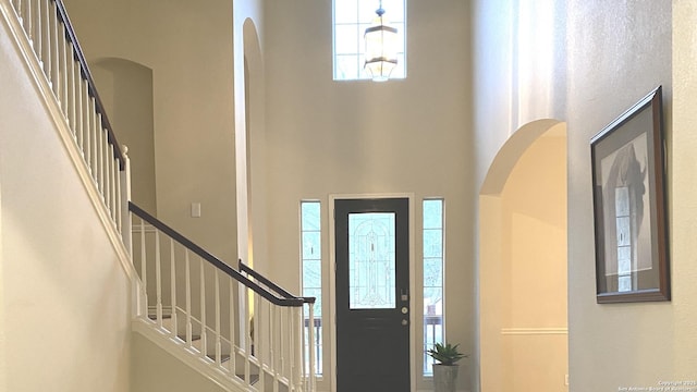 foyer featuring a towering ceiling and a healthy amount of sunlight