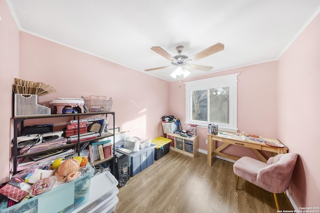 interior space featuring ceiling fan, ornamental molding, and light hardwood / wood-style flooring