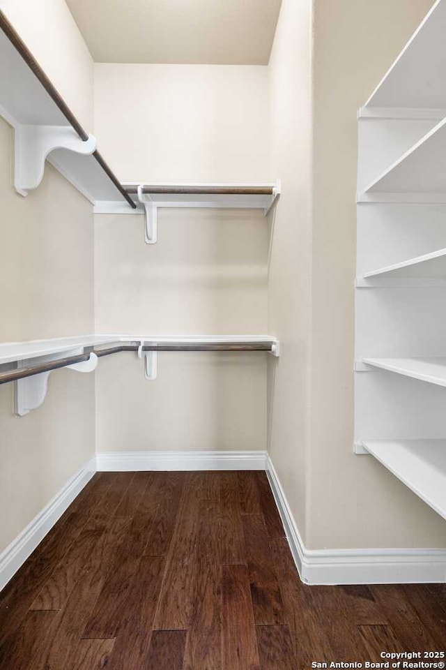 walk in closet with dark hardwood / wood-style floors