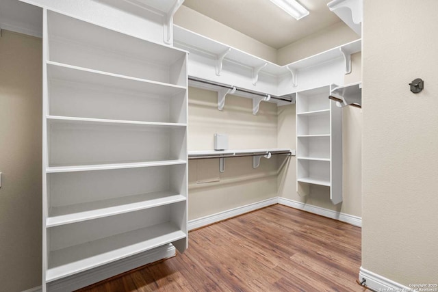 walk in closet with hardwood / wood-style flooring