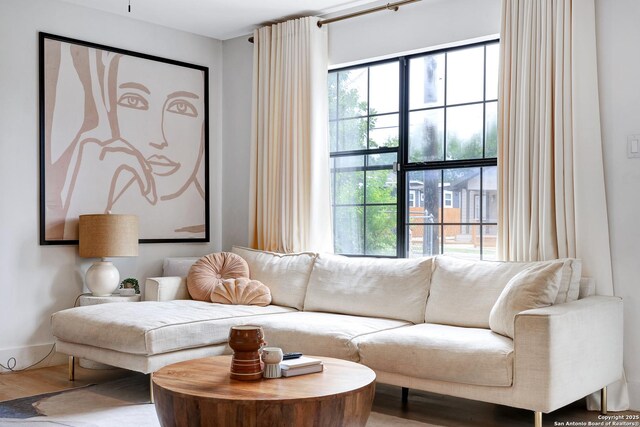 living room featuring wood-type flooring