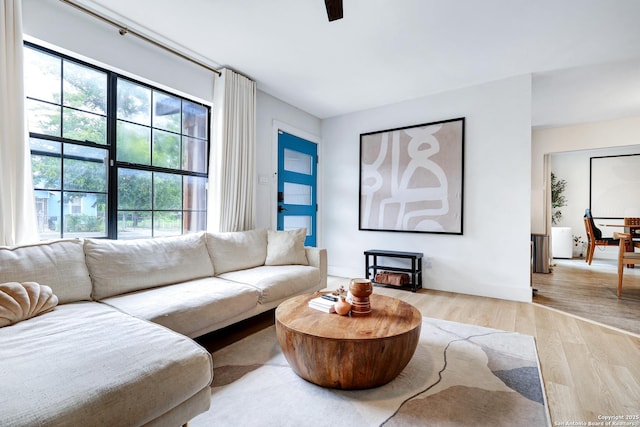 living room with light hardwood / wood-style flooring