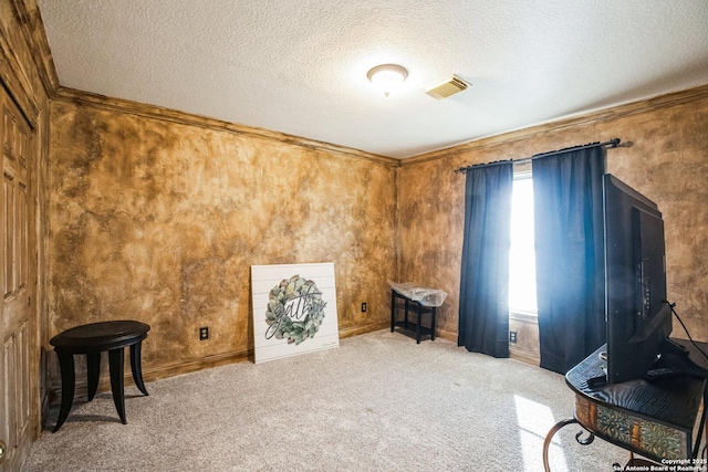 interior space with light colored carpet and a textured ceiling