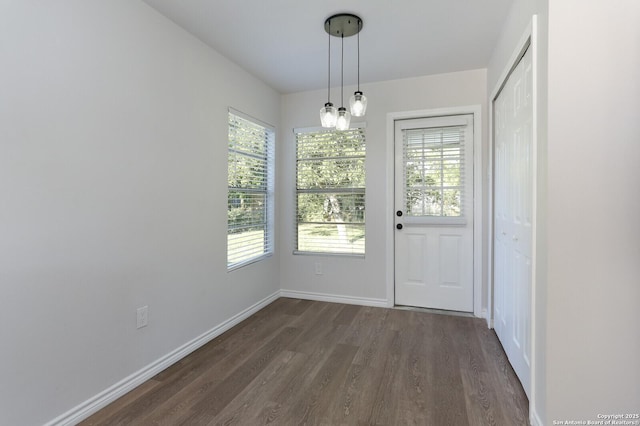 doorway to outside with a healthy amount of sunlight and dark wood-type flooring