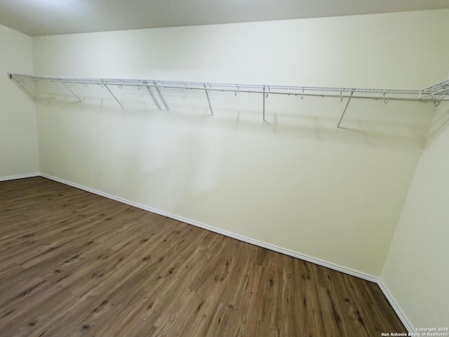 spacious closet featuring dark wood-type flooring