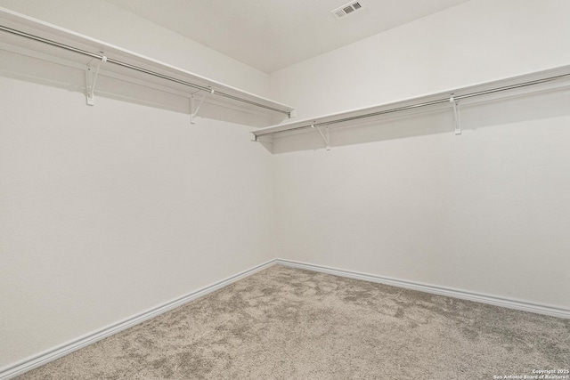 walk in closet with carpet