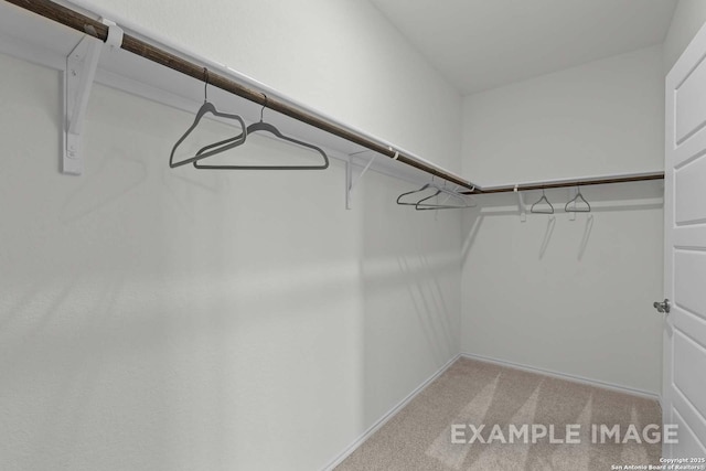 spacious closet with light colored carpet