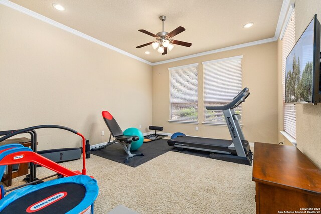 exercise room featuring crown molding, ceiling fan, and carpet