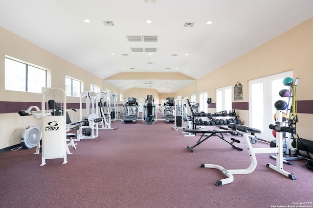 workout area featuring lofted ceiling