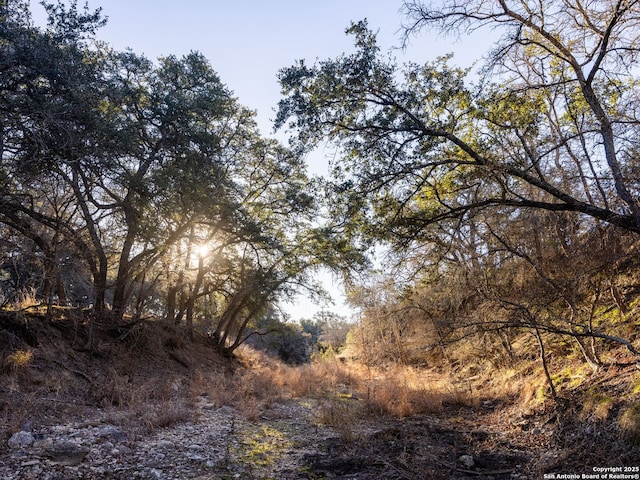 Listing photo 2 for 6.56ACRES Ranch Road 1623, Blanco TX 78606