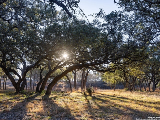 Listing photo 3 for 6.56ACRES Ranch Road 1623, Blanco TX 78606