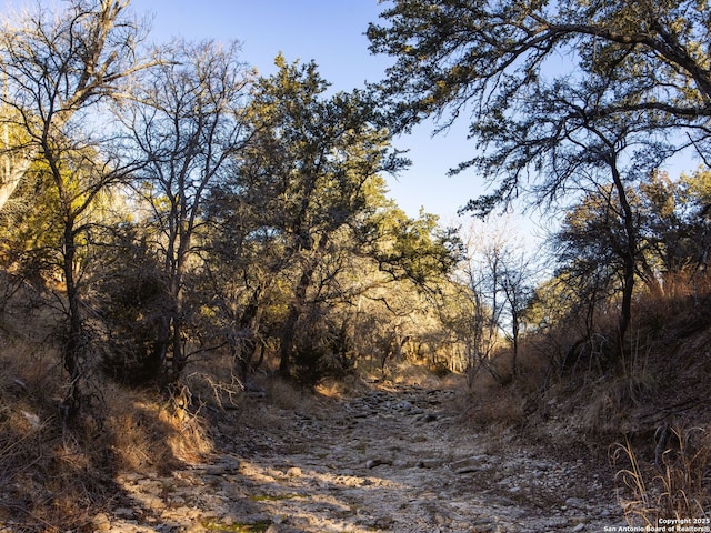 6.56ACRES Ranch Road 1623, Blanco, TX 78606