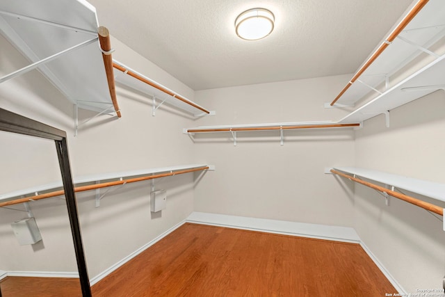 walk in closet featuring wood-type flooring