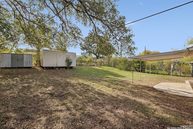 view of yard with a storage shed