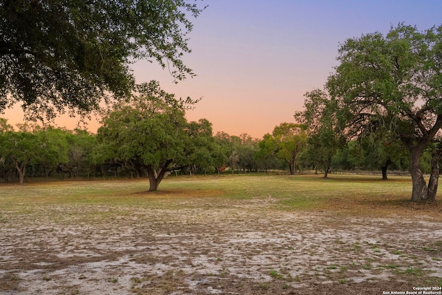 view of yard at dusk