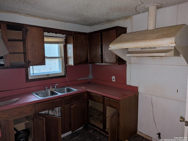 kitchen featuring sink, a textured ceiling, and dark brown cabinetry