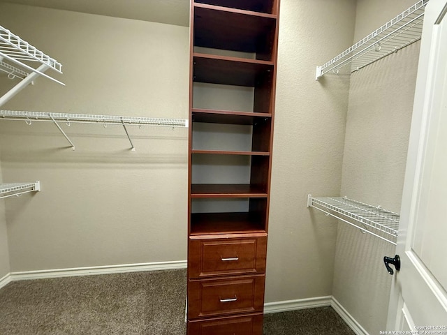 walk in closet with carpet