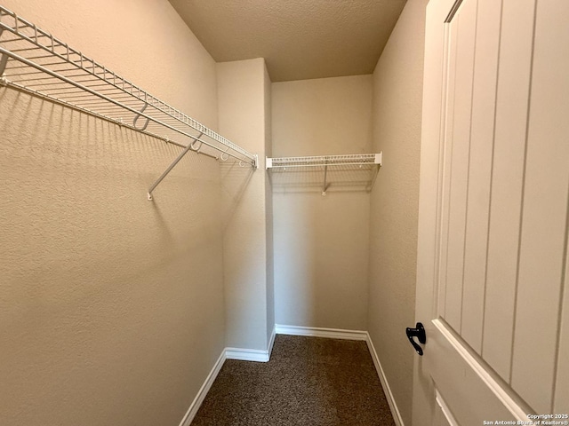 spacious closet with carpet flooring