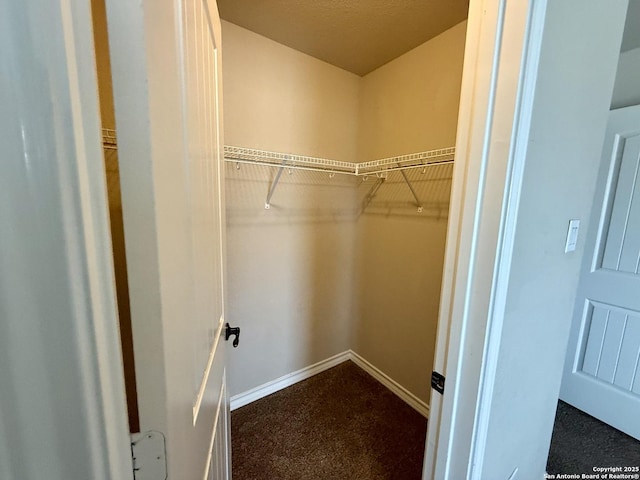 spacious closet with carpet floors