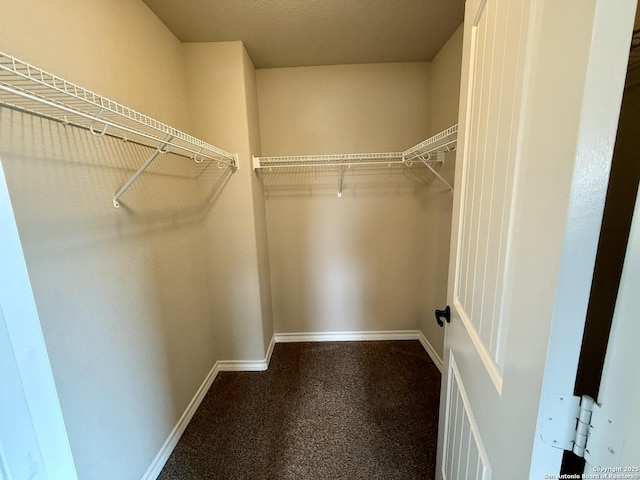 spacious closet with carpet flooring