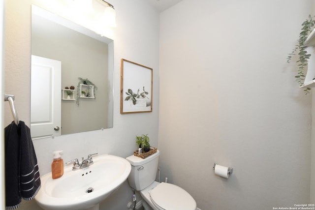 bathroom featuring sink and toilet