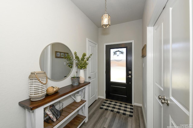 foyer with wood-type flooring