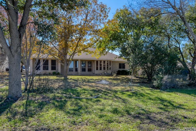 rear view of property featuring a yard