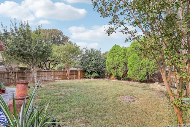 view of yard featuring a fenced backyard