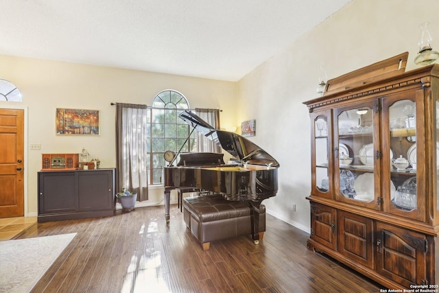 miscellaneous room featuring dark wood-type flooring