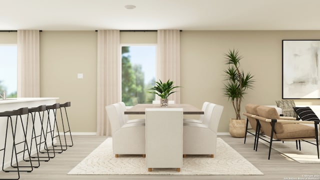 dining room with light hardwood / wood-style flooring