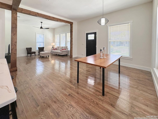 dining room with ceiling fan and light wood-type flooring