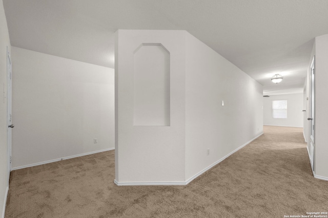 interior space with light carpet